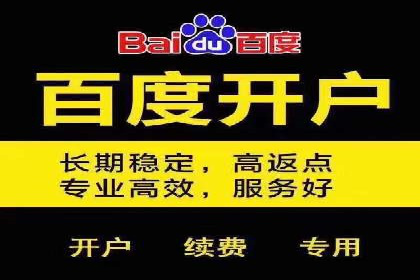 顶尖SEM竞价代运营公司案例分析